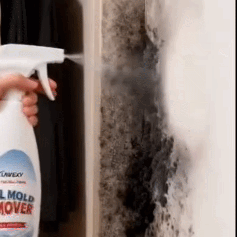 StopMucegai - Elimină Mucegaiul De Pe Orice Suprafață | 750 ml