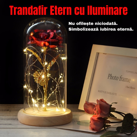 Trandafir Etern în Cupolă cu Iluminare - Eternal Love™