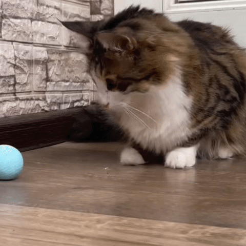 PetBall™ - Minge Interactivă Pentru Animale