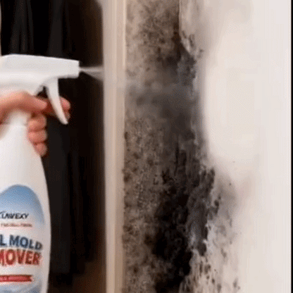 StopMucegai - Elimină Mucegaiul De Pe Orice Suprafață | 750 ml